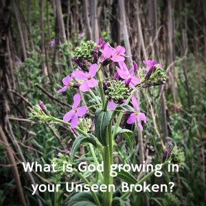 God transforms our unseen broken into new life