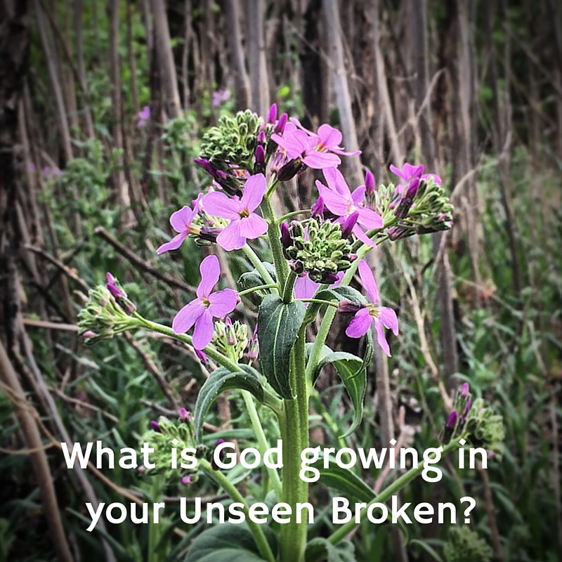 Unseen Broken